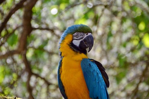 梦见空棺会是什么预兆