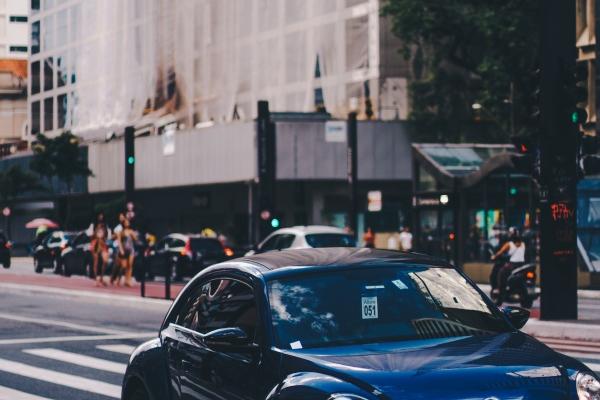 梦到了一条小龙是什么征兆