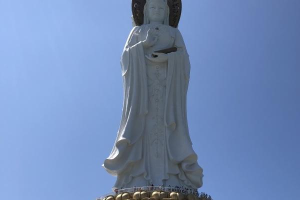 属鼠人2026年每月运势