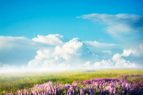 属兔人不可碰的桃花，属兔一生桃花劫到底是谁