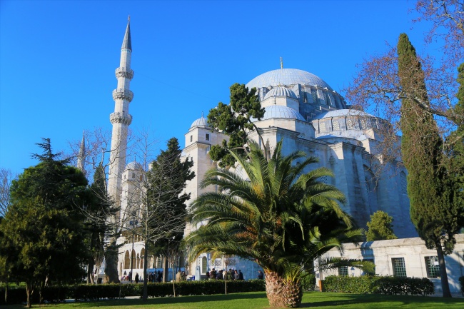 属马人不可碰的桃花,属马一生桃花劫到底是谁 属马人不可碰的桃花,属马一生桃花劫到底是谁