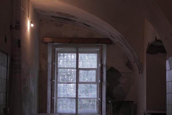 属蛇人将谁放在第一位 属蛇人将谁放在第一位