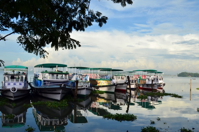 2026年马年属蛇人忌讳哪些 2026年马年属蛇人忌讳哪些