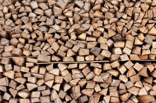 属牛人不可碰的桃花，属牛一生桃花劫到底是谁