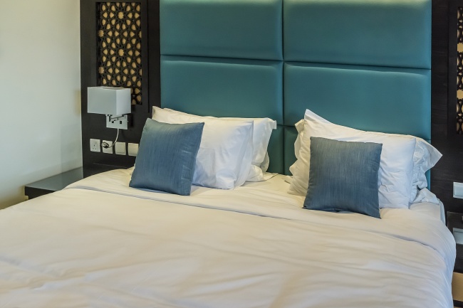 属狗人2026年事业运怎样