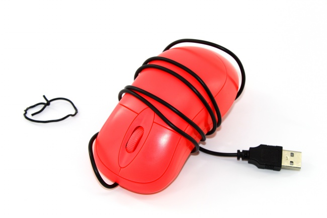 属鼠人2026年事业运怎样