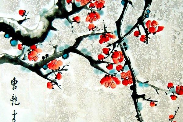 2026年马年属兔人忌讳哪些 2026年马年属兔人忌讳哪些