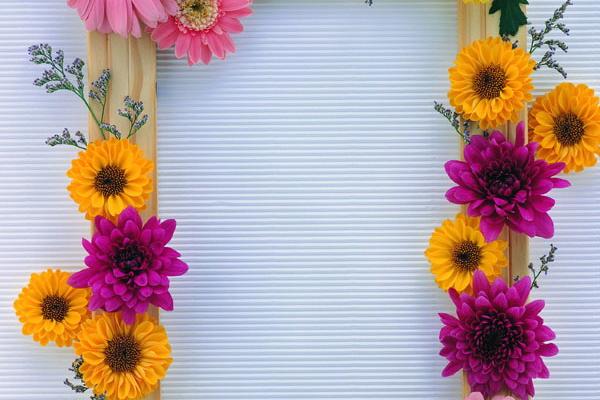 属猪人2026年每月运程