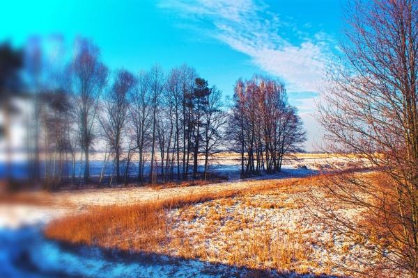 2026年属狗人上半年度运势