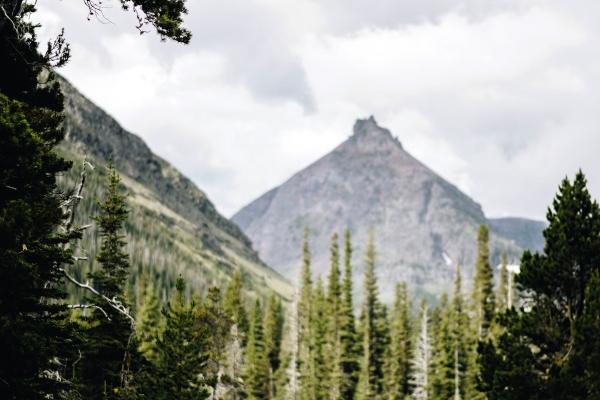 属鸡人不可碰的桃花,属鸡一生桃花劫到底是谁 属鸡人不可碰的桃花,属鸡一生桃花劫到底是谁