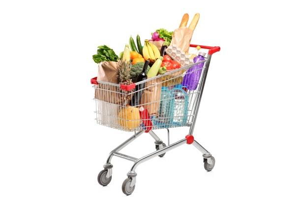 属相狗的晚年时期宿命