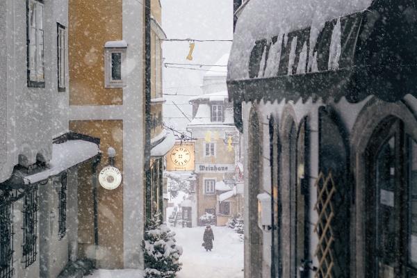 属狗人不可碰的桃花,属狗一生桃花劫到底是谁 属狗人不可碰的桃花,属狗一生桃花劫到底是谁
