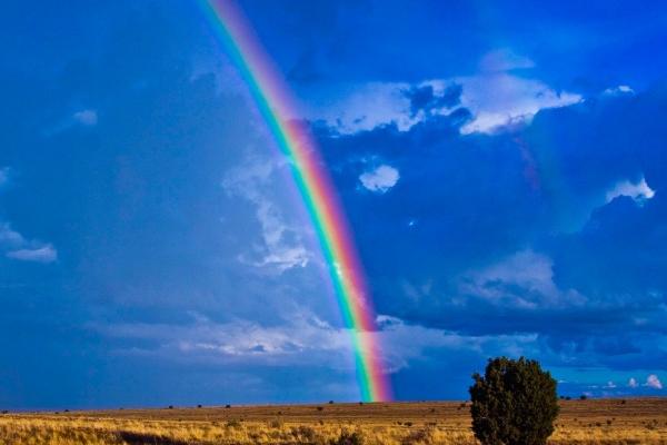 属狗人2026大离别是谁 属狗人2026大离别是谁