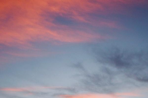 2026谁能缠着属龙的