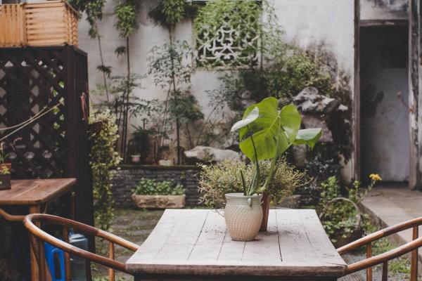 1997年属牛2026年运势及运程详细说明 97年属牛人2026年马年每月运程