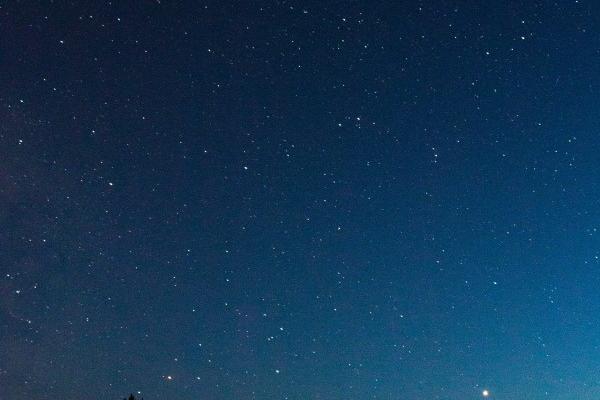 属虎在今年的有哪三灾，属虎2026年运势怎么样