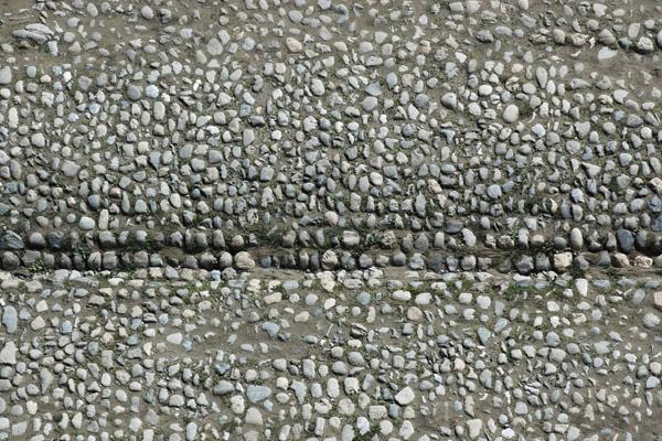 属狗人将谁放在第一位 属狗人将谁放在第一位