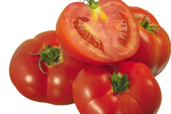 2026谁能缠着属兔的