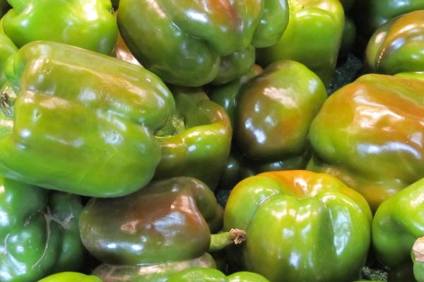 属相牛最苦的年龄 属相牛最苦的年龄