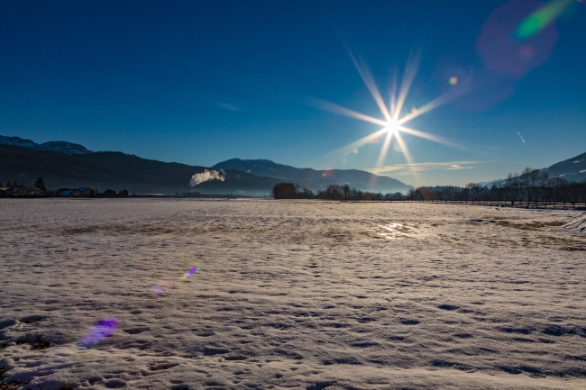 属猪在今年的有哪三灾,属猪2026年运势怎么样 属猪在今年的有哪三灾,属猪2026年运势怎么样