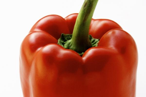 2026年属羊人上半年度运势