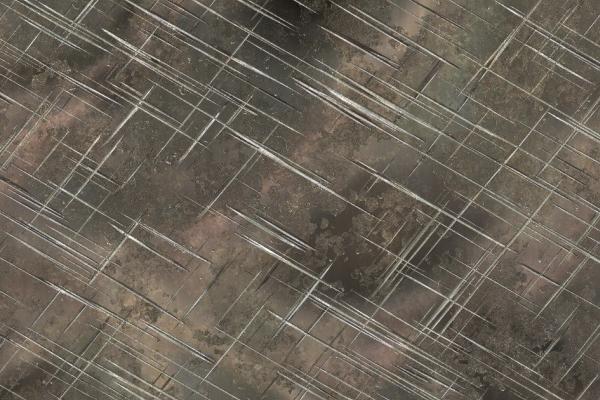 2026谁能缠着属猪的 2026谁能缠着属猪的