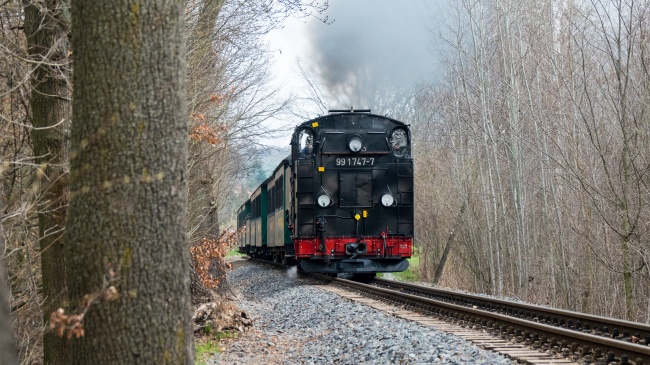 属相牛的晚年时期宿命 属相牛的晚年时期宿命