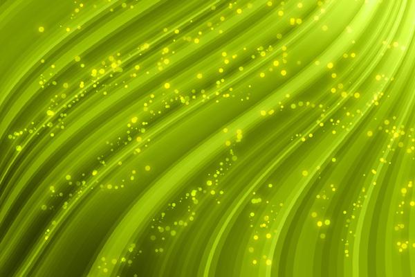 2026年属猪人上半年度运势 2026年属猪人上半年度运势