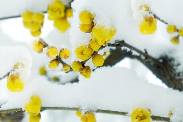 2026年阴历5月哪一天适宜买房 2026年阴历5月哪一天适宜买房