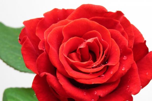 88年龙38岁以后十年大运 88年龙38岁以后十年大运