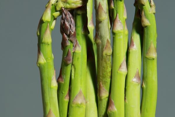 几月女兔晚年时期有福 几月女兔晚年时期有福