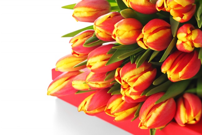 2026年属蛇是百年难遇吗 2026年属蛇是百年难遇吗