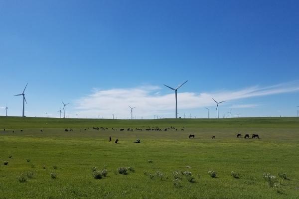 虎男一生守护什么生肖女 虎男一生守护什么生肖女