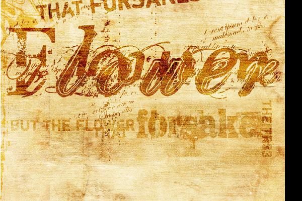 65年蛇人发横财的年龄 65年蛇人发横财的年龄