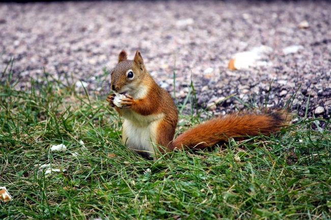 梦见买鞋买衣服有什么寓意吗？