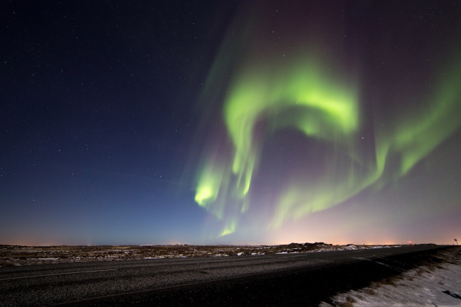 2026年狗的克星到底是谁，2026年属相狗人一定要避开的属相