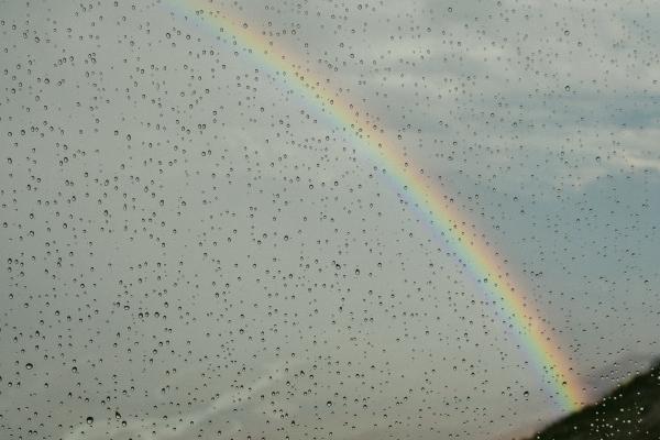 93年女鸡2026年有喜事 93年女鸡2026年有喜事