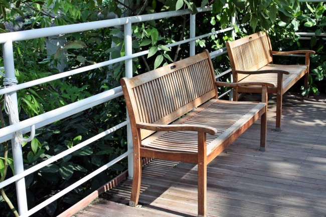 九月的猪女婚姻怎样