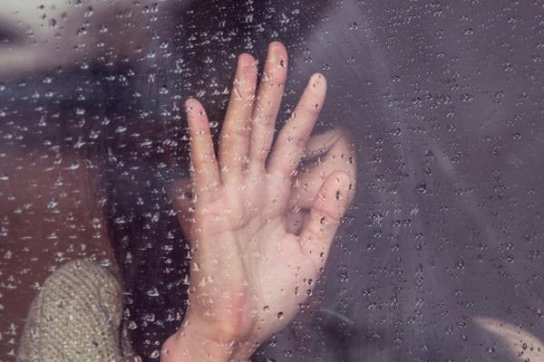 2026年属狗1982年生全年度运势怎样 2026年属狗1982年生全年度运势怎样