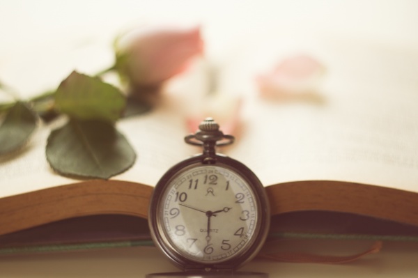 1994属狗人发横财的年龄 1994属狗人发横财的年龄