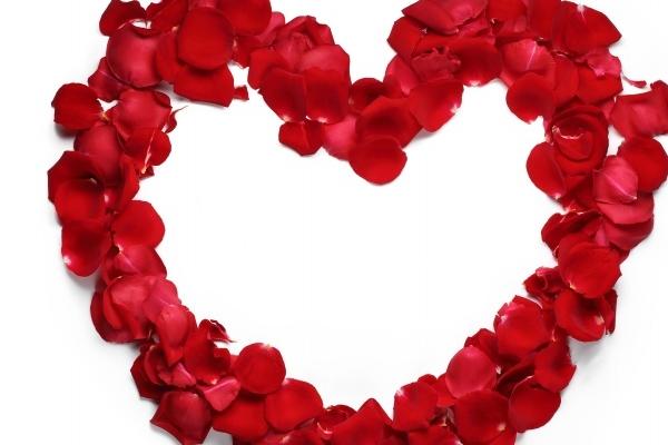 几月出生的马好 几月出生的马好