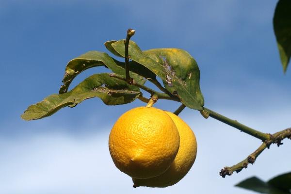 84年鼠41岁以后十年大运