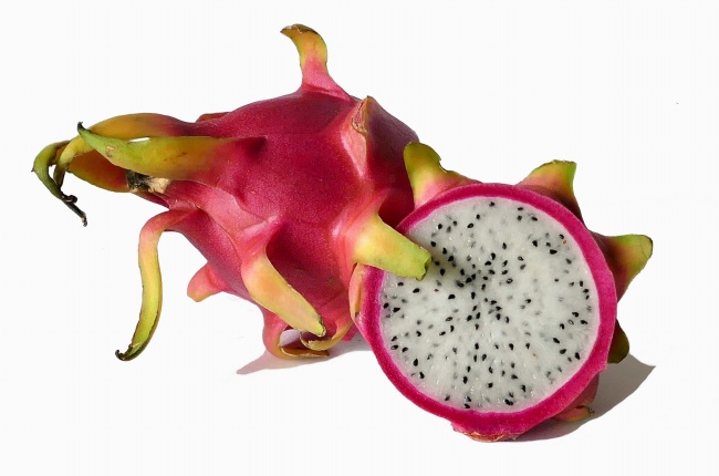 1991年羊女二月出生命苦吗 1991年羊女二月出生命苦吗