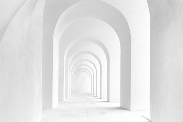 薄命鼠是几月的鼠 薄命鼠是几月的鼠