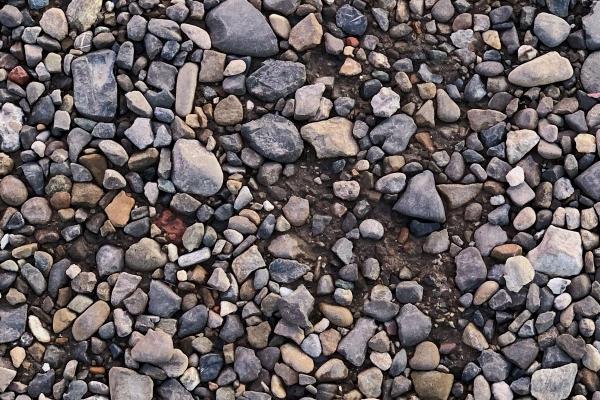 谁能保护属牛人