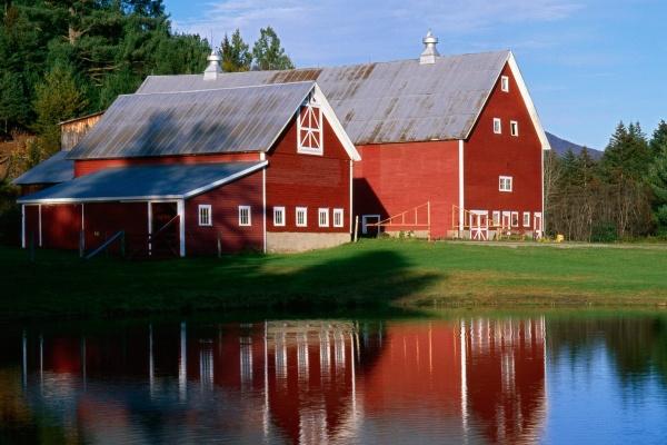 土龙命适合什么颜色 土龙命适合什么颜色