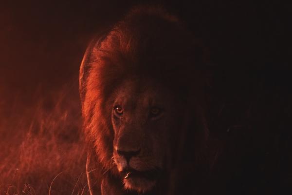 属鸡2026戴红绳怎么样