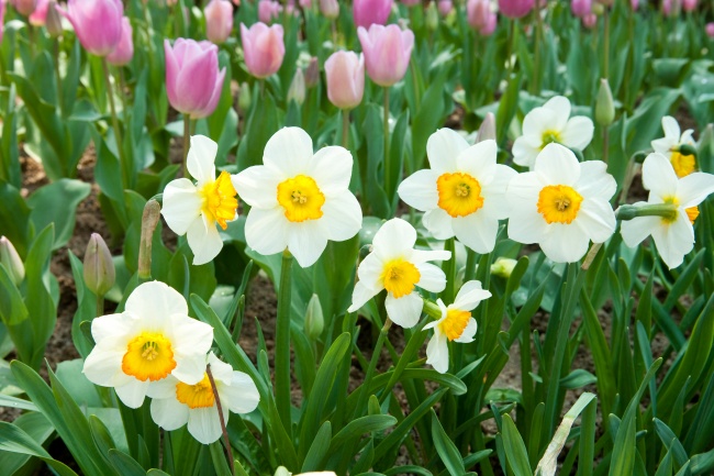 谁能保护属猴人