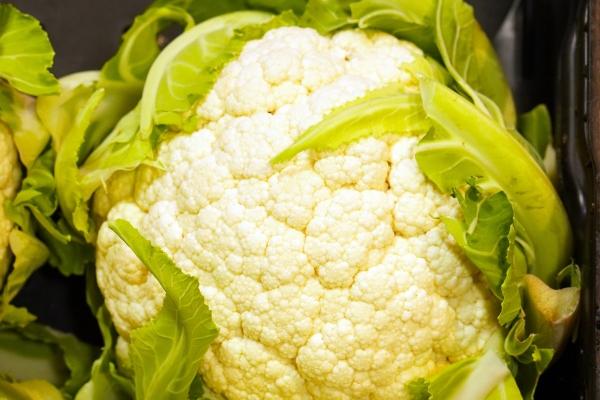 薄命牛是几月的牛