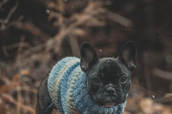 2026年农历7月相亲吉日查看,哪几天能够相亲